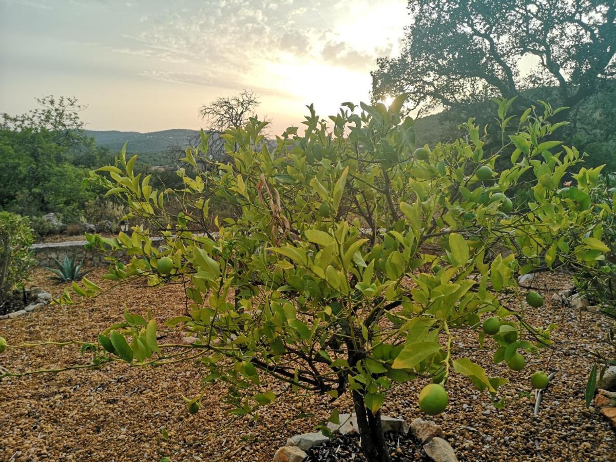 مبيت وإفطار لول Quinta Da Familia المظهر الخارجي الصورة